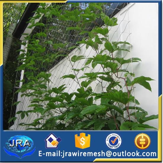 Stainless steel rope mesh green wall 2