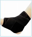 Ankle Brace