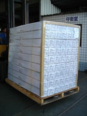 Window film JUMBO ROLLS