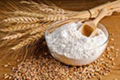 Wheat Flour Grade A