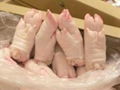 FROZEN PORK FRONT FEET