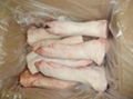 FROZEN PORK FRONT FEET 2