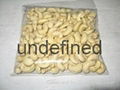 Raw cashew nuts/ Cashew Kernels/ WW320/450/240/LBW/LP/WSLP/DW 3
