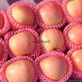 Fresh Royal Gala Apples 