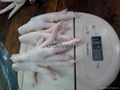 Frozen Chicken Feet  Paws Wings 1