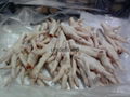 Frozen Chicken Feet  Paws Wings 4