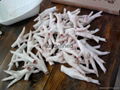 Frozen Chicken Feet  Paws Wings 5