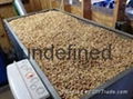  Wood Pellets