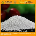 Sodium benzoate 2