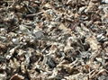 Stainless Steel Scrap 400