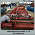 Metal Lined Water Treatment Vertical Centrifugal Single Stage Sump Pump 3