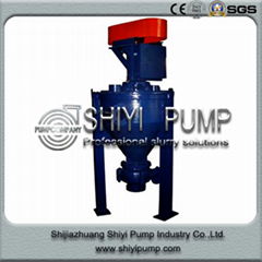 Abrasion Resistant Wasting Water Treatment Centrifugal Vertical Foam Pump