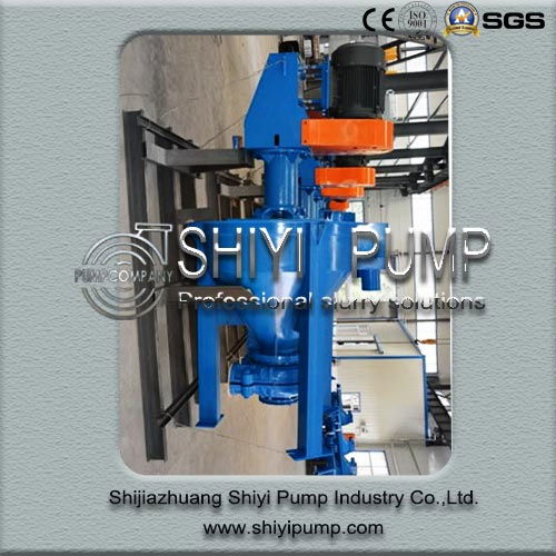 Abrasion Resistant Wasting Water Treatment Centrifugal Vertical Foam Pump 5