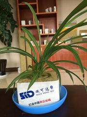 Agriculture Rock Wool Plant grow supplied from China