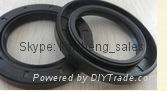 SKF FAG TIMKEN NSK NACHI  BEARING seals 