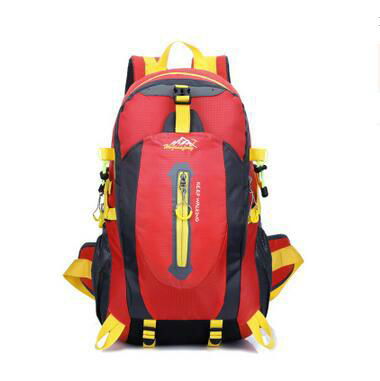 2017 cheap price custom logo new design waterproof outdoor backpack  4