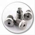  Standard and Non standard knurled screws stainless steel knurled screw