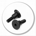 Special screw with grooved