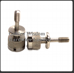 Stainless Steel M6 thumb knurling screws 