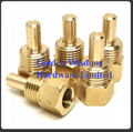 Factory supply customized sensor copper probe housing for BBQ