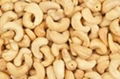 CASHEW NUT