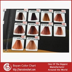 Newest style hair dye chart  elegant and silky hair hair color chart