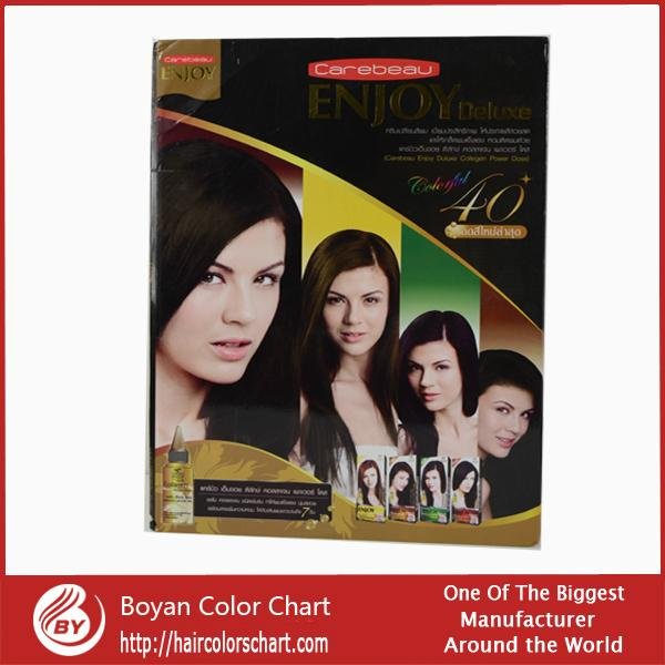 Newest style hair dye chart elegant and silky hair hair color chart -  BY-B02 (China Manufacturer) - Personal Care Appliance - Home Supplies