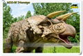 Animatronic Dinosaur outdoor or indoor amusement park Triceratops 4