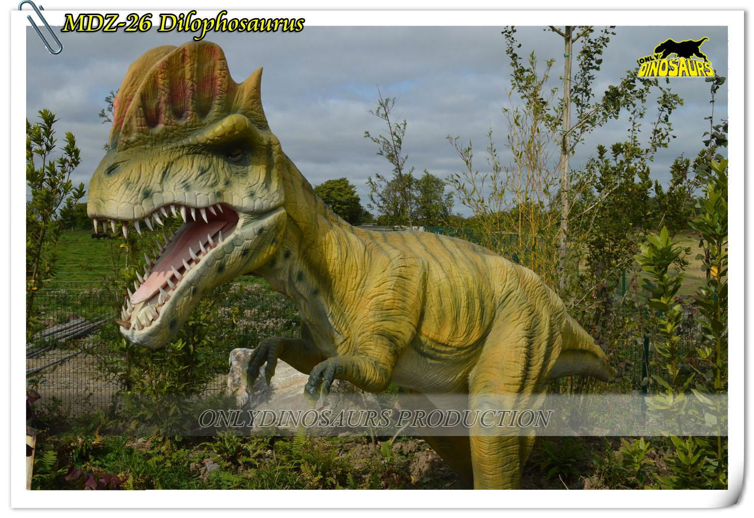 Animatronic Dinosaur outdoor or indoor amusement park Dilophosaurus 3