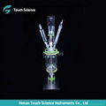 Desktop Small Jacketed Glass Reactor 1-5L Series 4