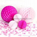 10pcs 6- 8-10-12inch Tissue Paper Flower