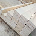 High Quality LVL Scaffold Planks 3