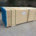 High Quality LVL Scaffold Planks 4