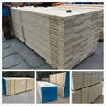 pine lvl plywood for packing 5