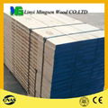 wholesale LVL Scaffolding board at factory price 1