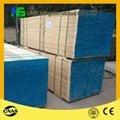 wholesale LVL Scaffolding board at factory price 3