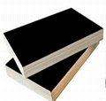 black film faced plywood for