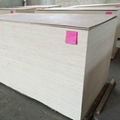 good price commercial plywood form linyi suppliers 1