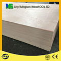 good price commercial plywood form linyi suppliers 4