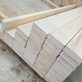 poplar core lvl board at factory price