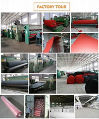 Dezhou ankang import and export co., LTD