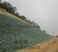 Geotextile 2