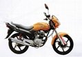 Qipai 125cc/150cc motorcycle