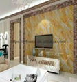 Pvc Material Uv Coated Mable Pattern Wall Panel 5