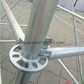 China supplier scaffolding ringlock
