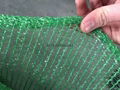 Sun Shade net/green sun shade net /shade net 2