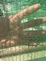 Manufacturer Green Shade Net Price HDPE