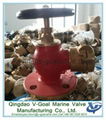 JIS F7334A 5K Marine Brass Hose Globe Valve 2