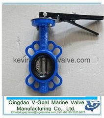 Lever&gear operated lug type butterfly valve without pin butterfly valve F7480