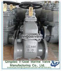 Marine Valve V-Goal Marine Valve - Cast